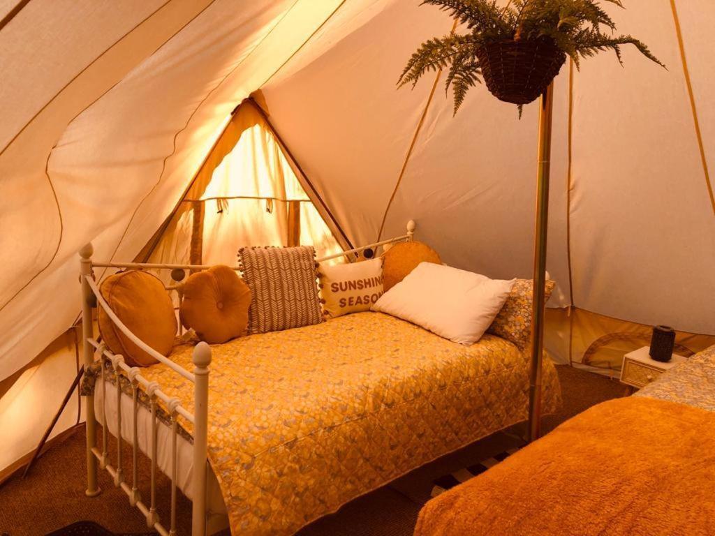Rose Luxury tent *