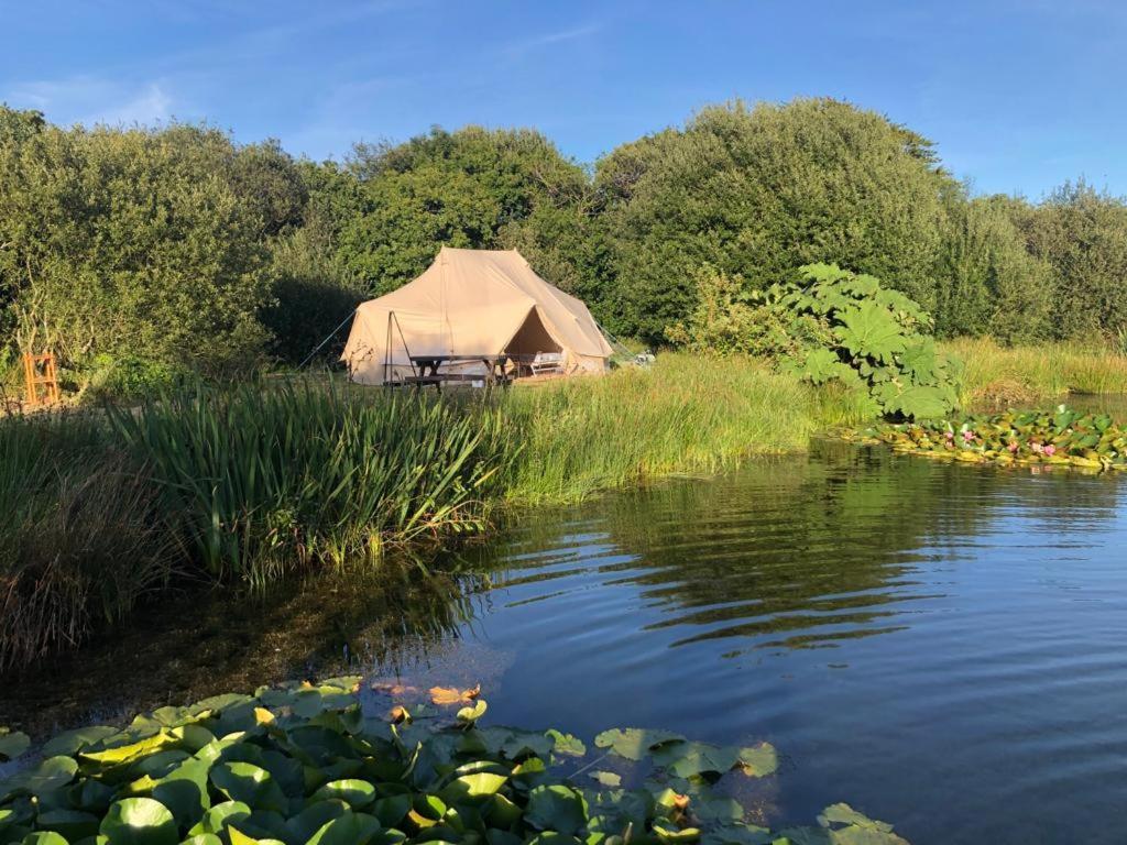 Rose Luxury tent St Austell
